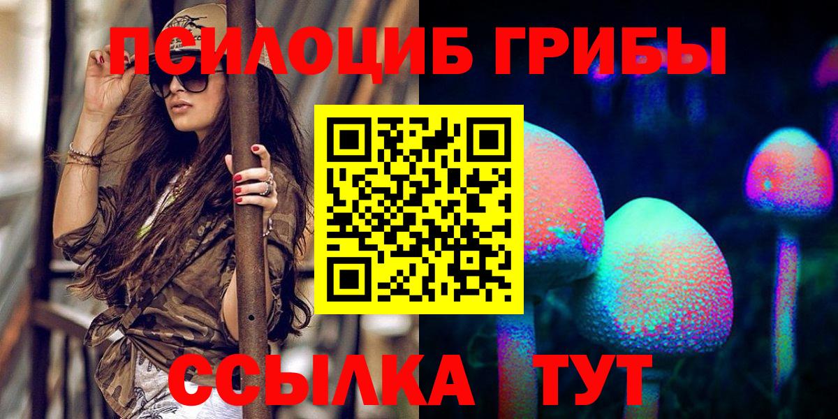 Псилоцибиновые грибы Psilocybine cubensis Кирово-Чепецк