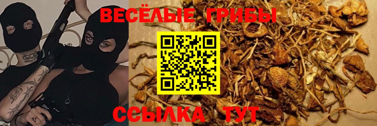 Кирово-Чепецк  Галлюциногенные грибы Psilocybine cubensis  Вход с VPN  Псилоцибиновые грибы ЛСД 